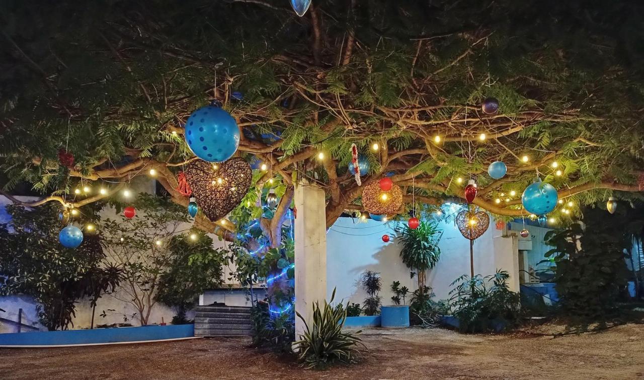 Blue Coconut Cancun Hotel Экстерьер фото