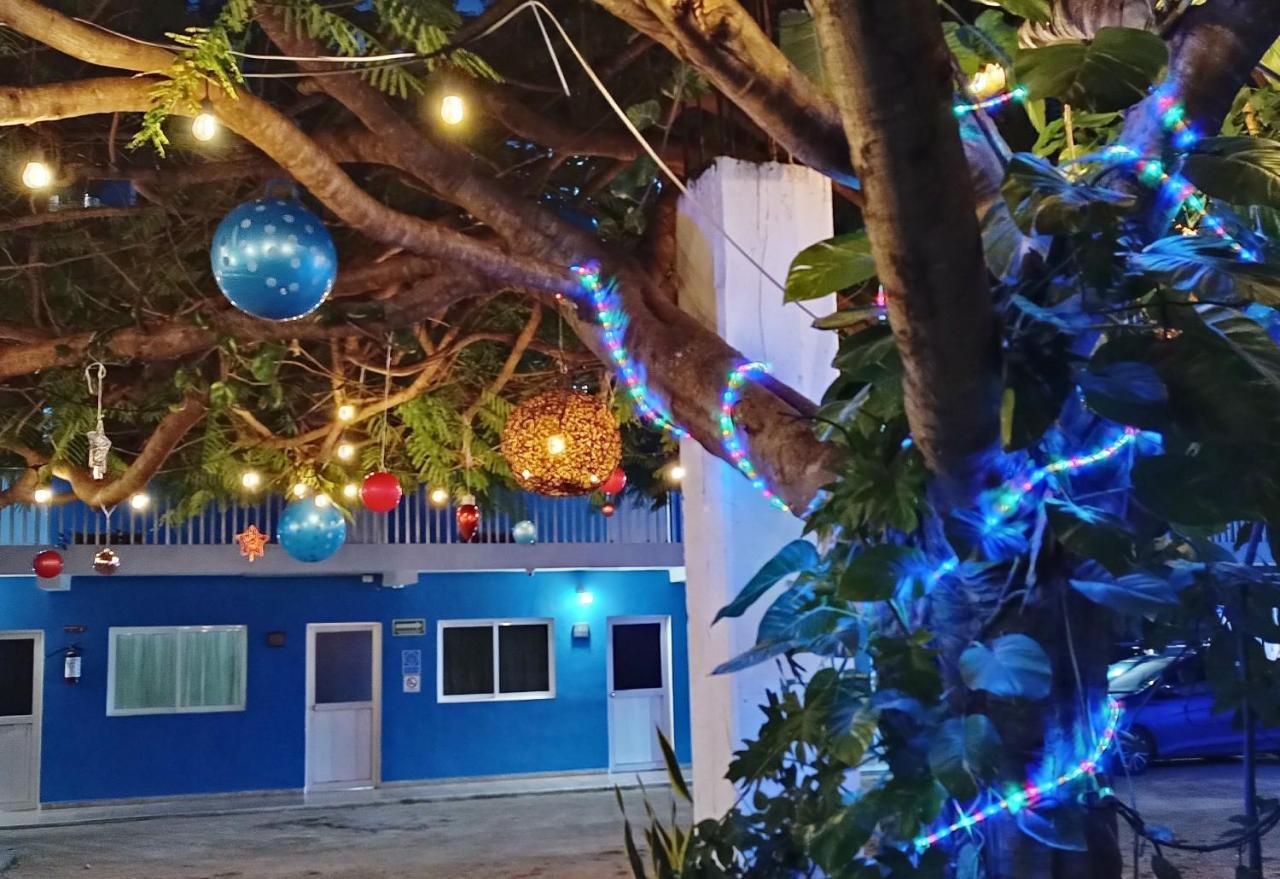 Blue Coconut Cancun Hotel Экстерьер фото