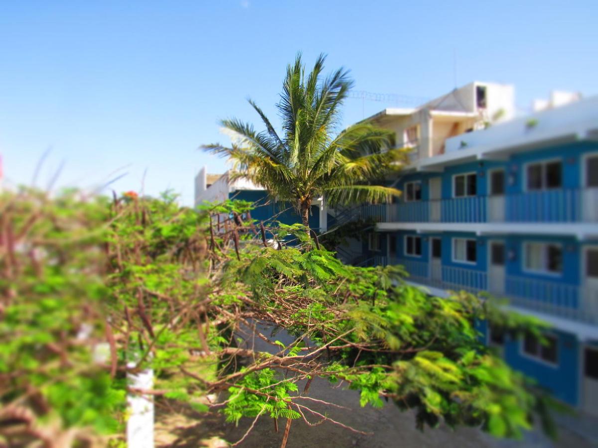Blue Coconut Cancun Hotel Экстерьер фото